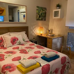  Apartment Meuble Tourisme Carmes 2 Etoiles, Entree Autonome,wifi, Climatise, Petit Parking Prive France